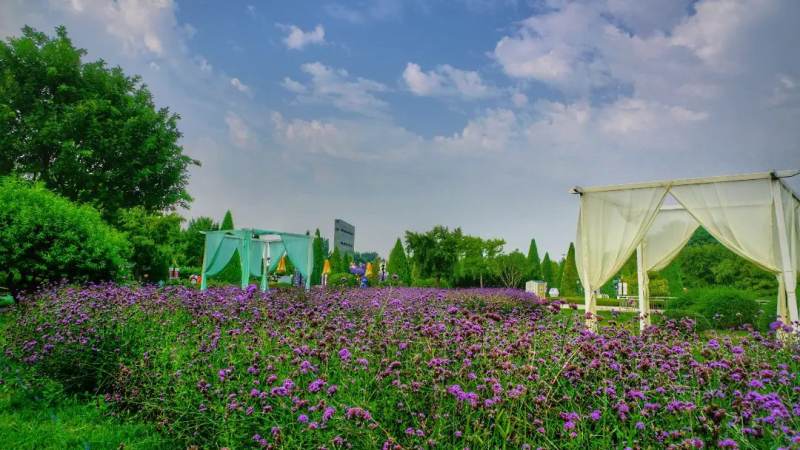 悟空体育是什么app？一文说清它的功能定位与使用场景