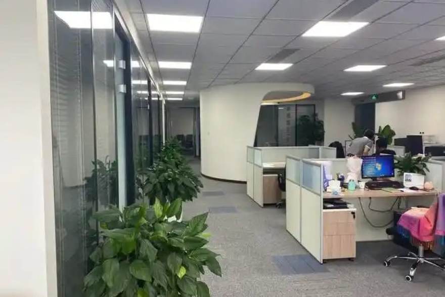 免费看球赛的app 团队赛事内容整理工作场景